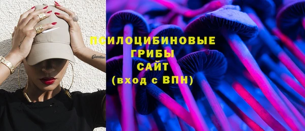 гидропоника Медвежьегорск