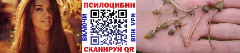 Галлюциногенные грибы прущие грибы  наркотики  Новочебоксарск 
