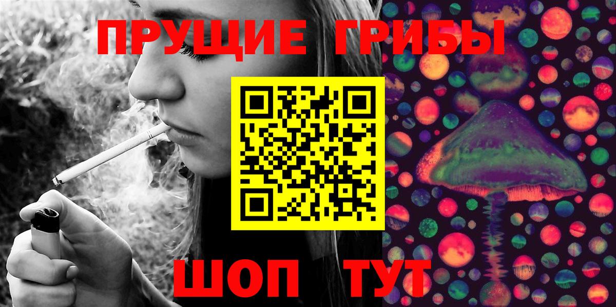 Псилоцибиновые грибы Magic Shrooms  Новочебоксарск  Псилоцибиновые грибы Magic Shrooms 