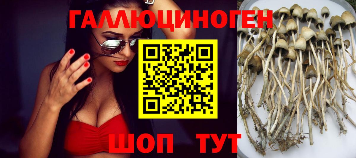 Новочебоксарск  Псилоцибиновые грибы мухоморы  Вход с VPN  Галлюциногенные грибы прущие грибы 